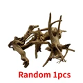 1732834672_7_.webp